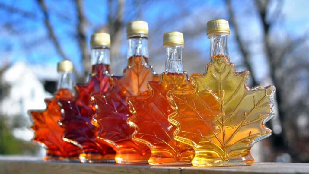 Canada-Maple-syrup