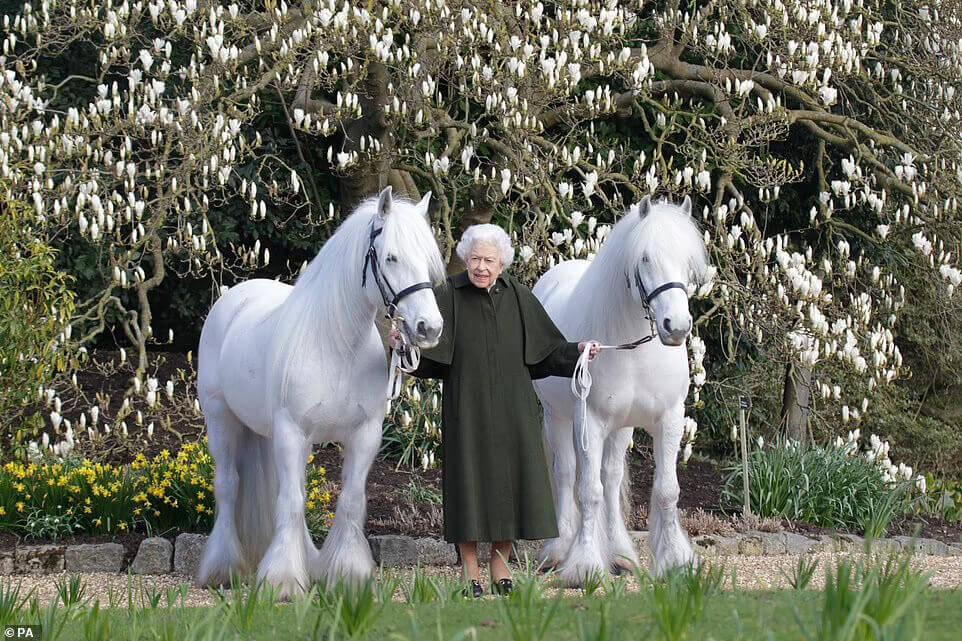 Queen-of-England-horses