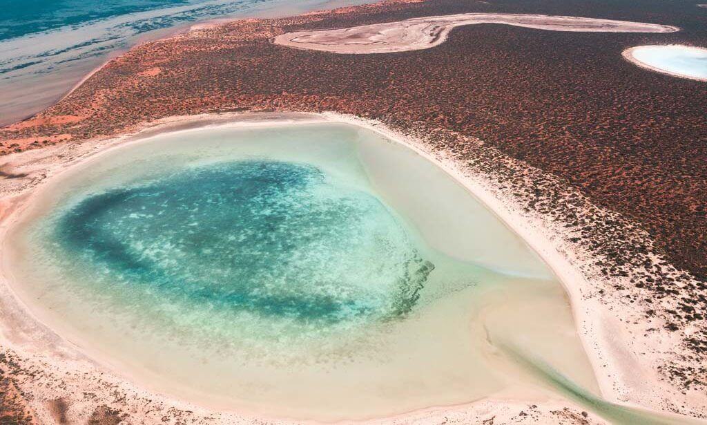 Shark-Bay-Australia