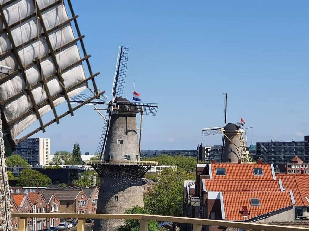 Schiedam-windmills