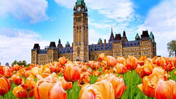 canadian-tulip-festival-ottawa