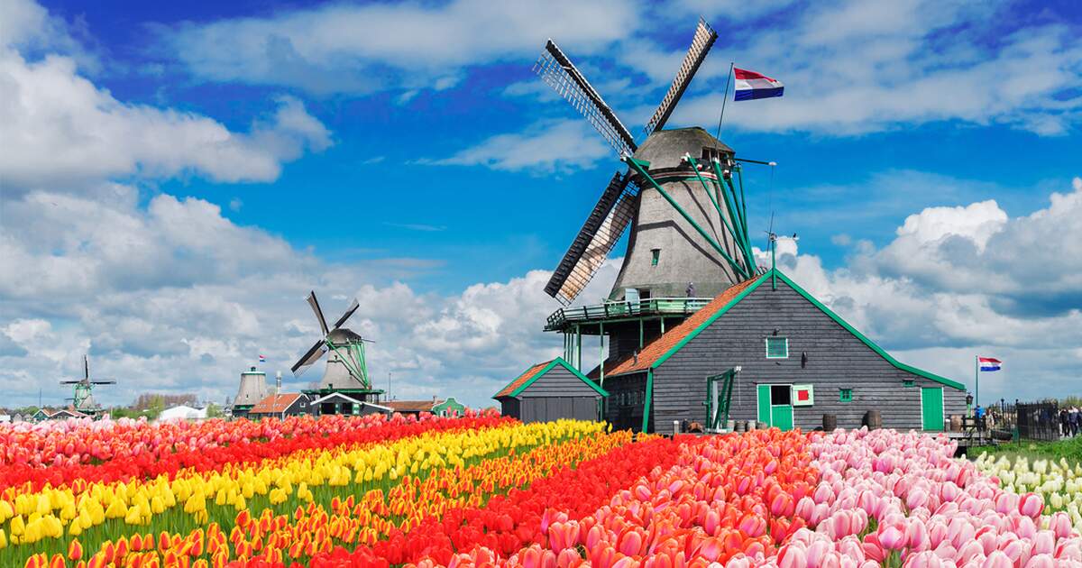bets-windmills-in-netherlands