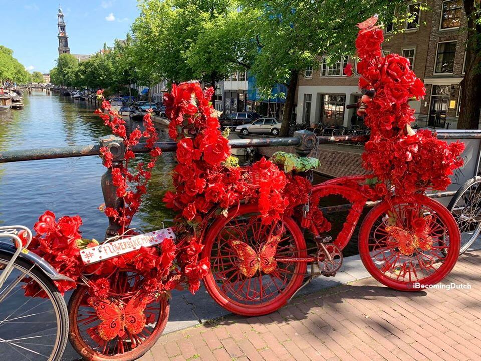 Bicycles-flowers-amsterdam1