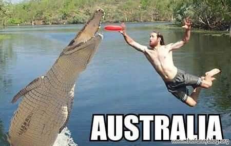 funny-australia-summer-sport-just-australians (1)