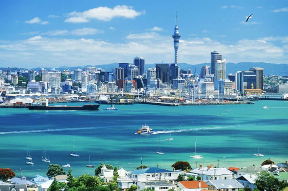Top-Reasons-To-Study-In-New-Zealand