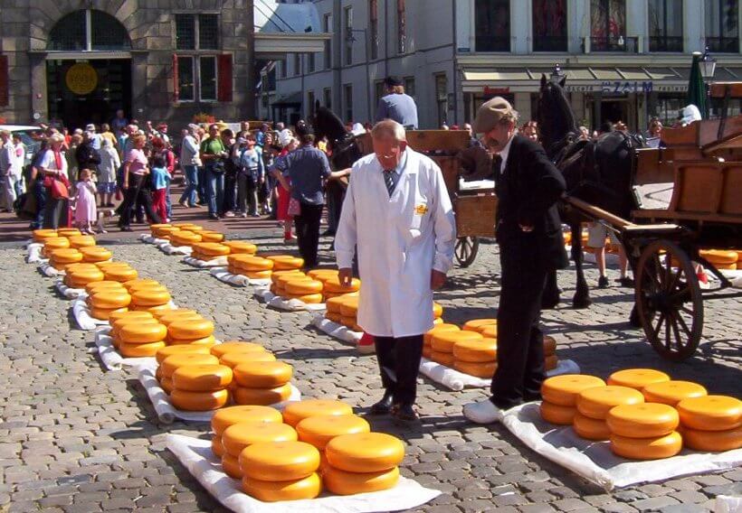 Dutch-cheese