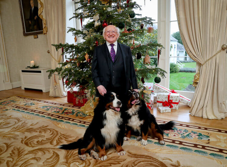 The-President-of-Ireland-has-little-to-no-power
