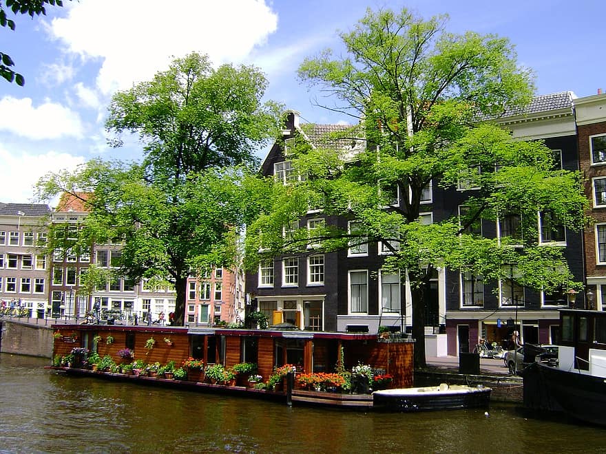 Trees-canal-amsterdam