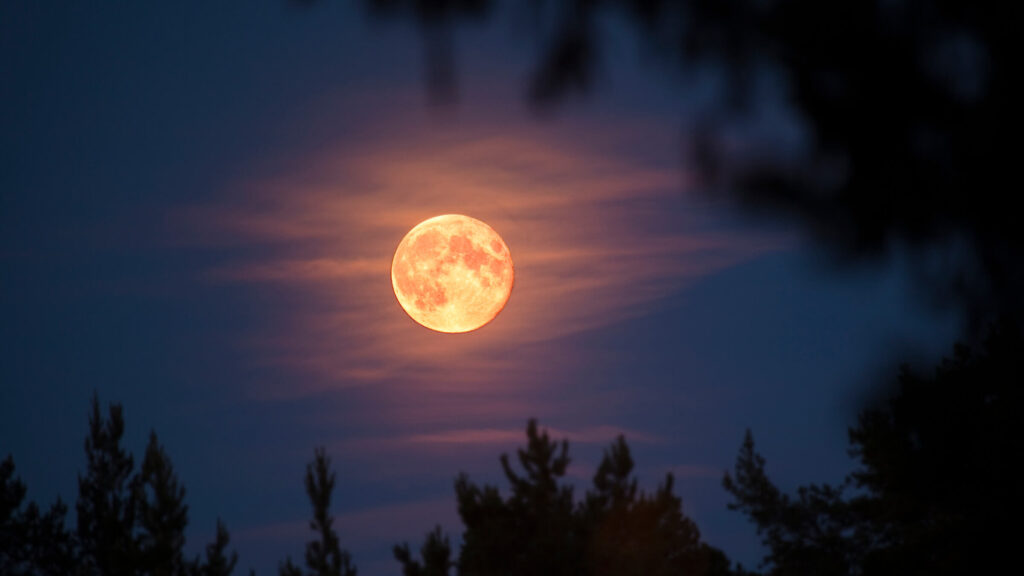 Strawberry-Supermoon-full-moon