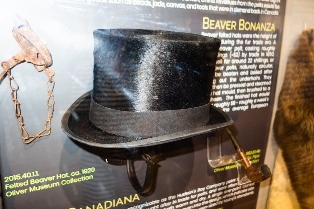 Beavers-canada-top-hats
