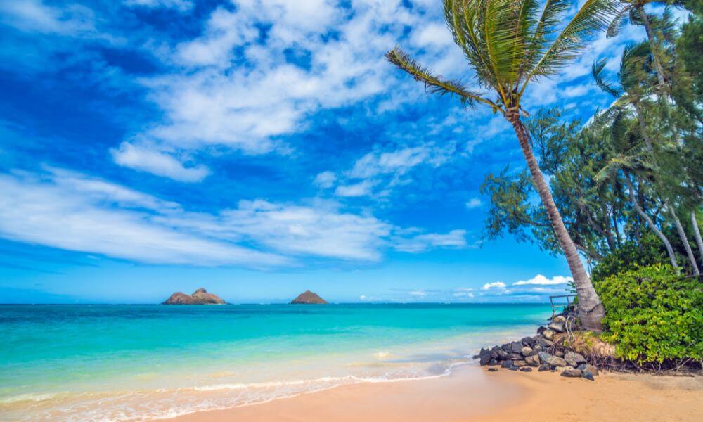 Hawaii-Paradise