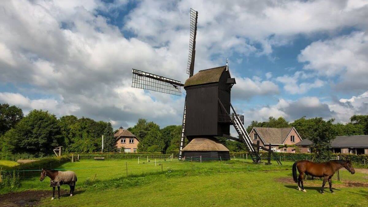 oldest-Dutch-windmills
