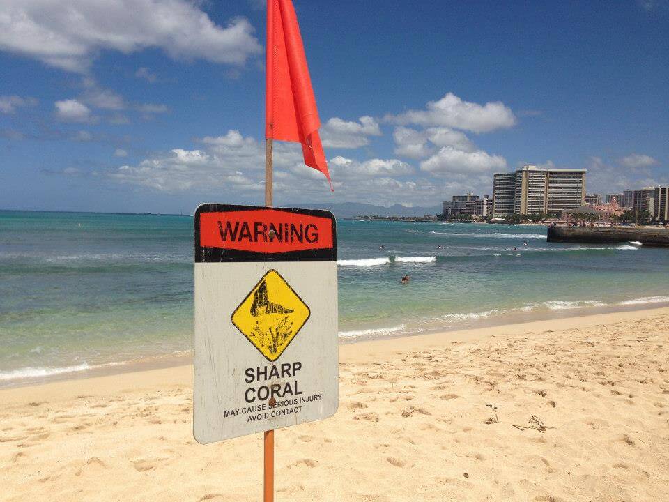 Warning-In-Hawaii