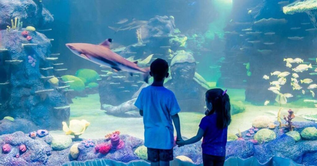 Sea-Life-Sydney-Aquarium