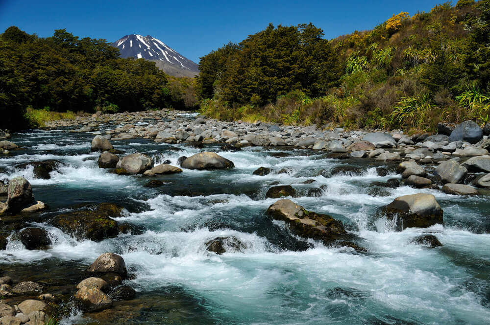 Tongariro-River