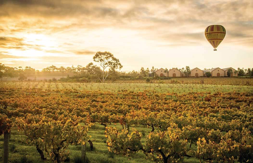 The-Top-7-Wine-Regions-In-Australia