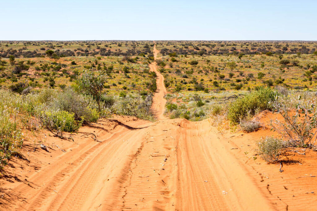 Simpson-Desert-Road