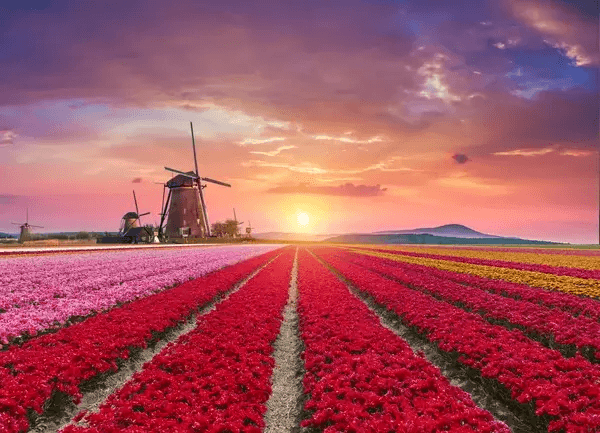 Stunning-Regions-in-The-Netherlands