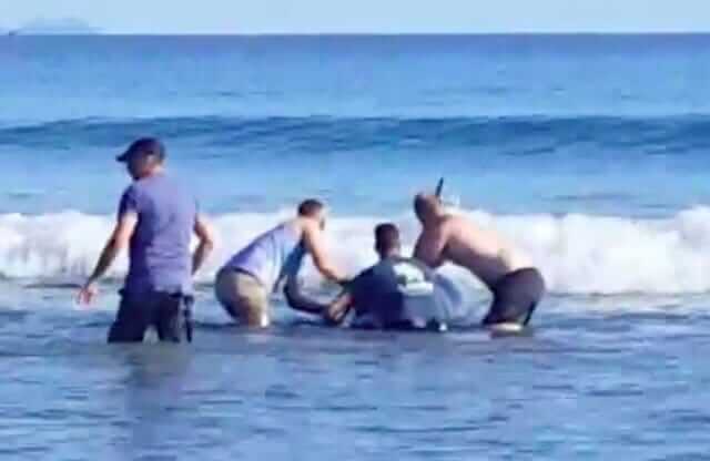 Rescue-orca-stranded-in-New-Zealand