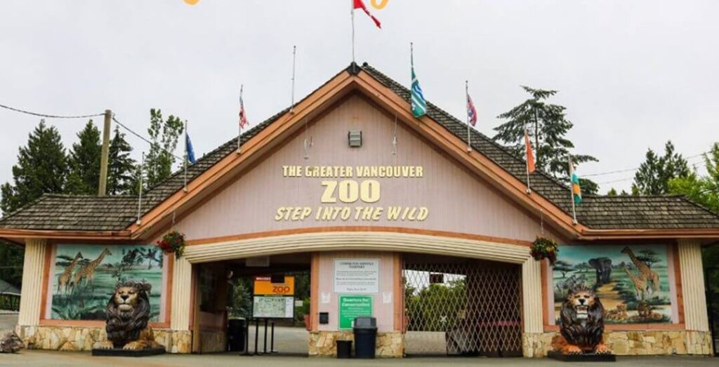 The-Greater-Vancouver-Zoo