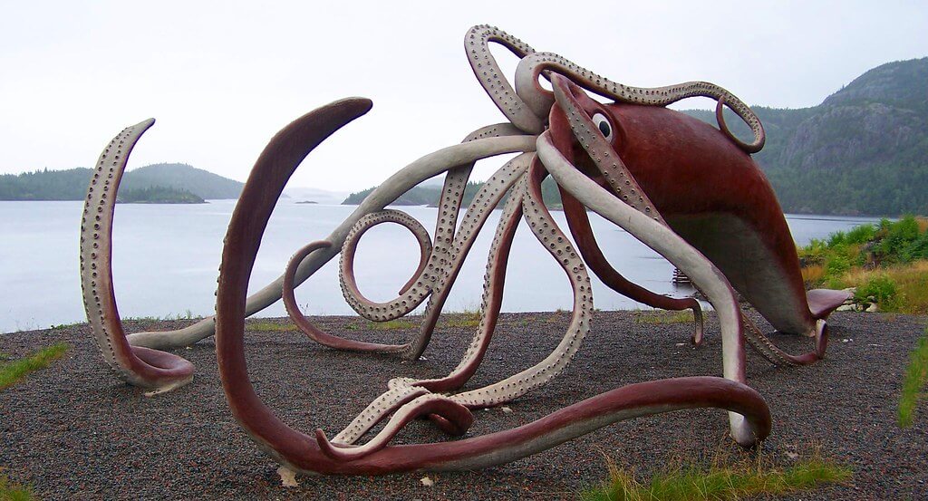 Giant-Squid-Newfoundland