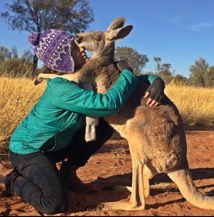cute-australian-kangaroo-abi