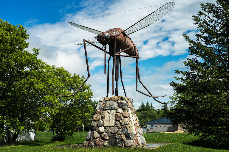 Giant-Mosquito-Komarno-Manitoba