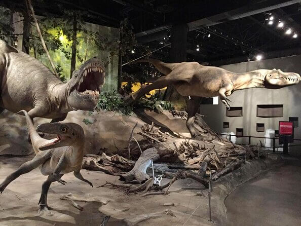 Tyrrell Museum-of-Palaeontology