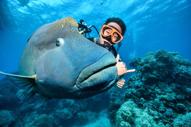 diving-great-barrier-reef
