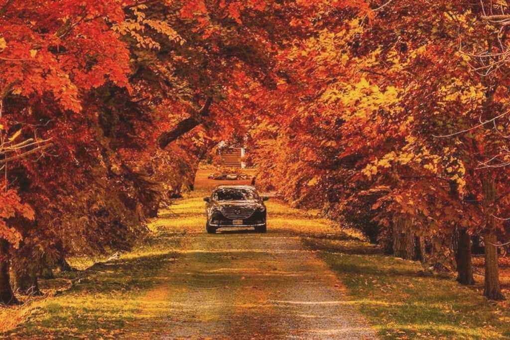 Ontario-autumn