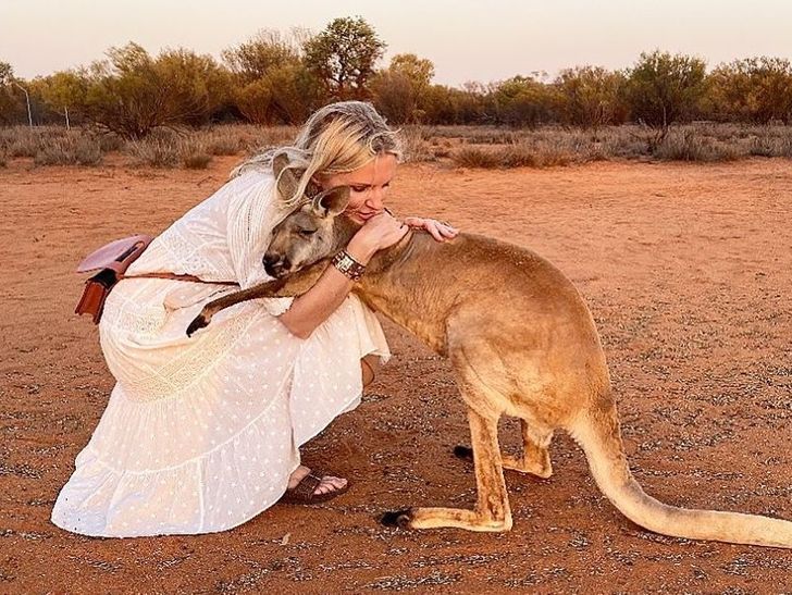 abigail-australian-kangaroo