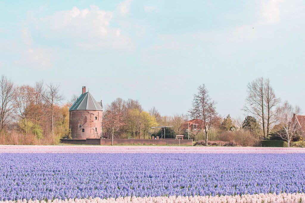 What-Makes-The-Netherlands-An-Agricultural-Powerhouse?