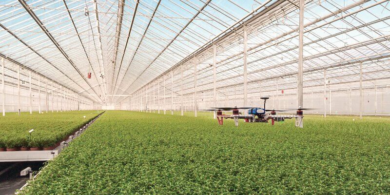 Dutch-Agriculture-Technology