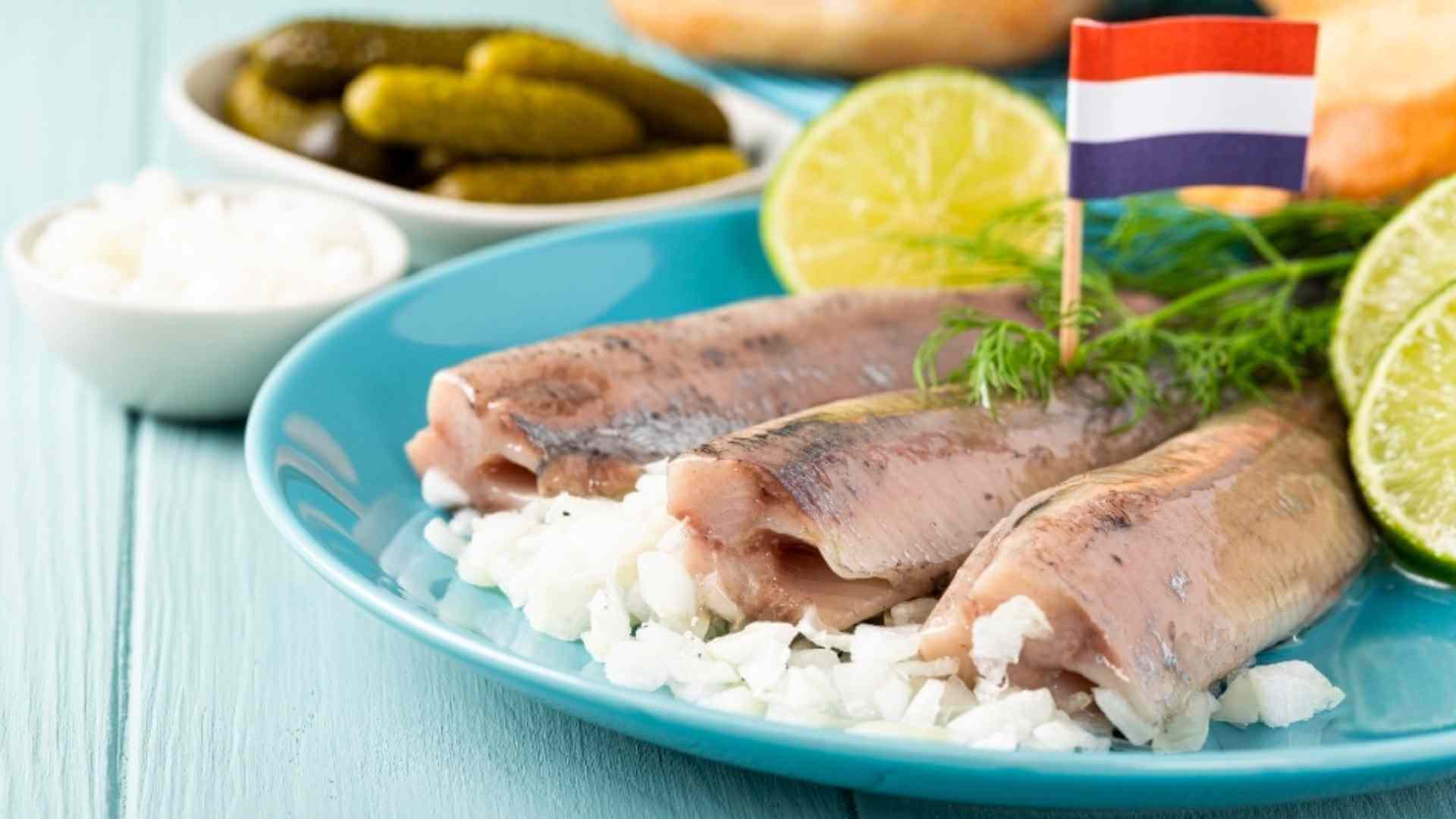 Dutch-Foods