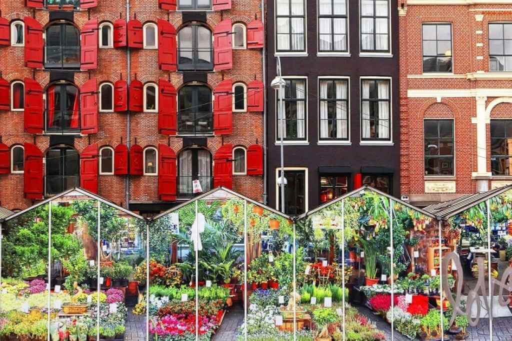 Bloemenmarkt-amsterdam