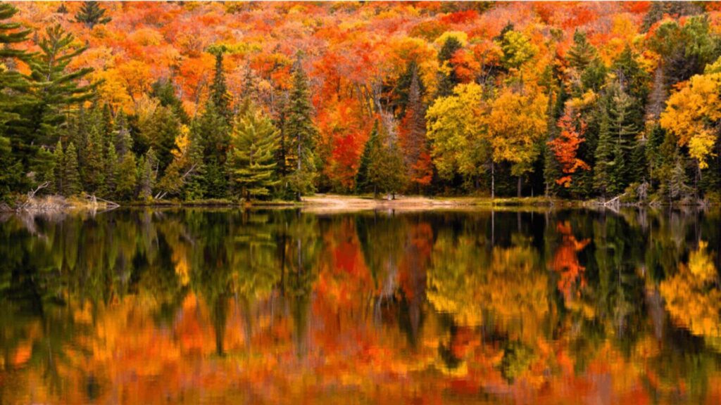 Algonquin-Park-In-Ontario-autumn