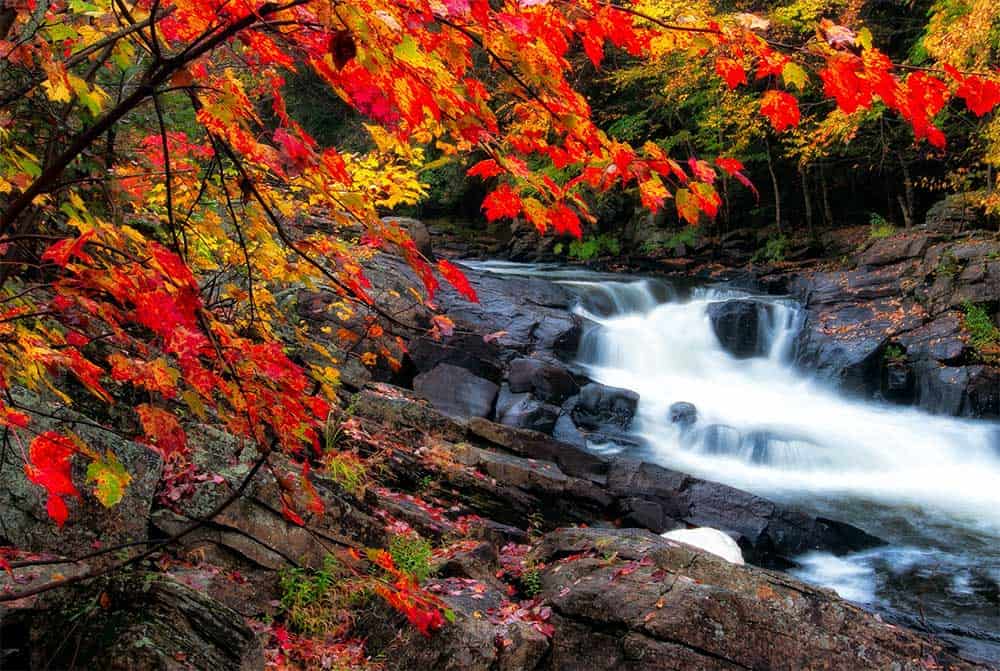 canada-autumn-color