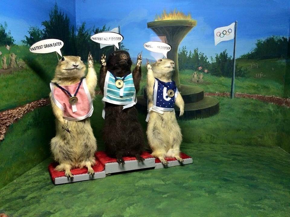 World-Famous-Gopher-Hole-Museum