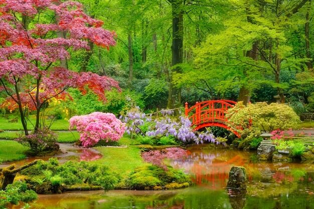 Netherlands-Japanese-Garden-Clingendael