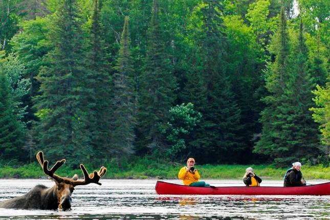 Canoeing-In-Canadian-Shield