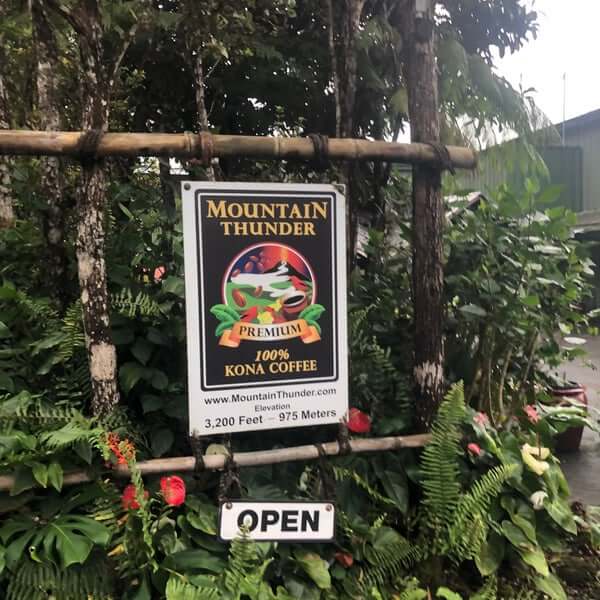 Mountain-Thunder-Coffee-Plantation