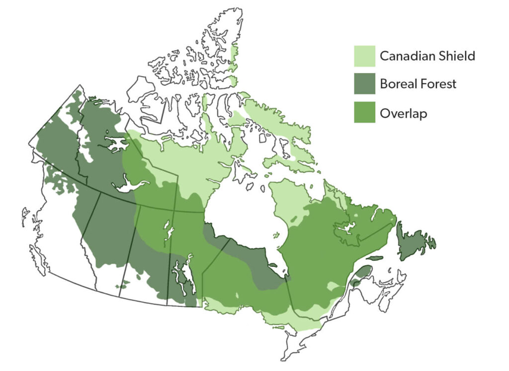 Topography-Of-Canadian-Shield