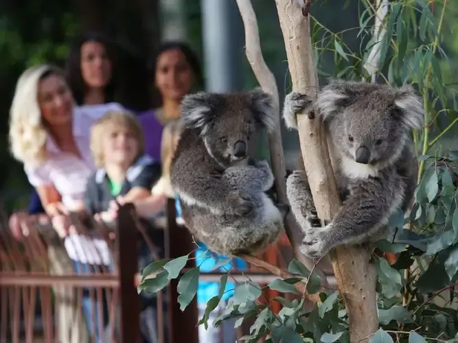 Melbourne-Zoo
