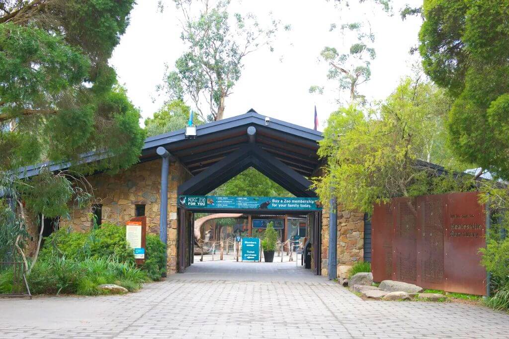 Healesville-Sanctuary-tourist-attractions-places-to-visit-in-Melbourne