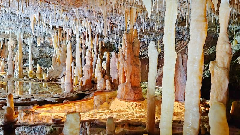 Buchan-Caves-Reserve