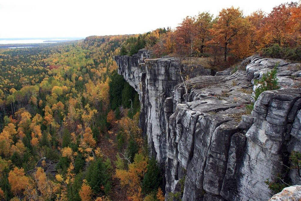 Everything-You-Need-To-Know-About-Canadian-Shield