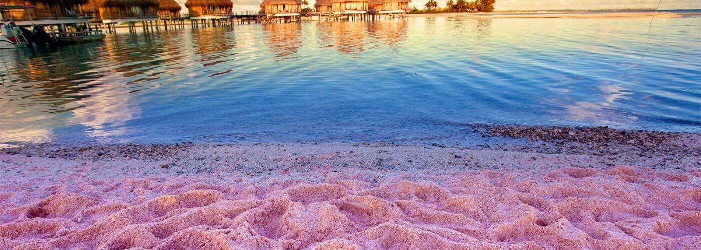 Beautiful-Yet-Strange:-The-Beach-With-Purple-Sand-In-Canada