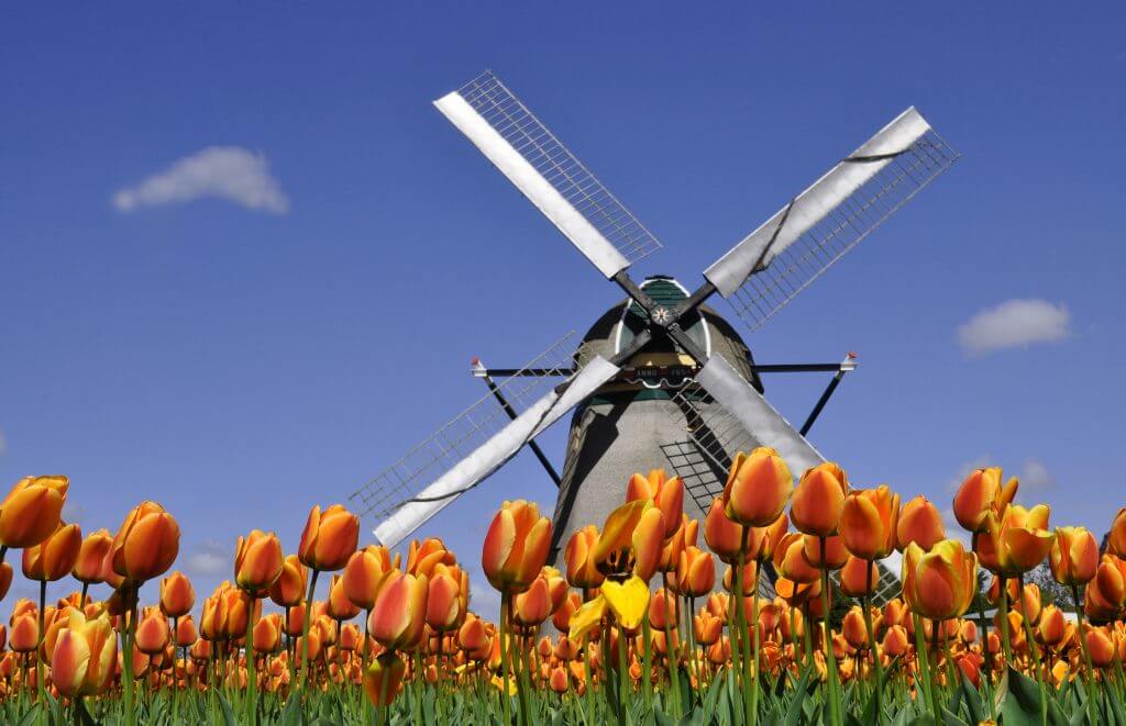 The-Best-Places-To-See-Dutch-Tulips-For-Free