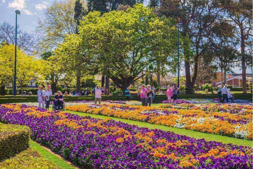 Toowoomba-Carnival-of-Flowers
