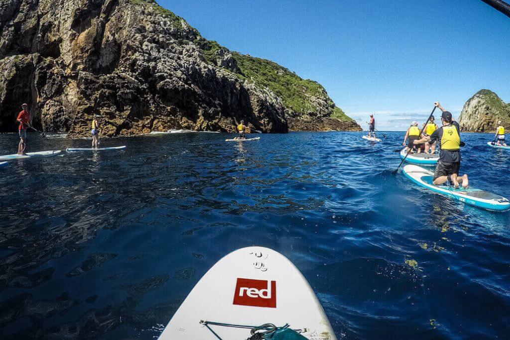 Poor-Knights-stand-up-paddle-nz